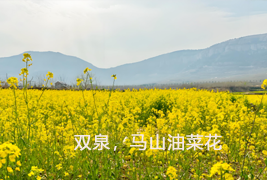 2014年4月长清区春游