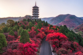 2014年10月红叶谷秋游