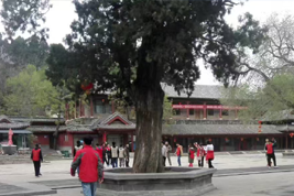 2018年4月长清区灵岩山团建